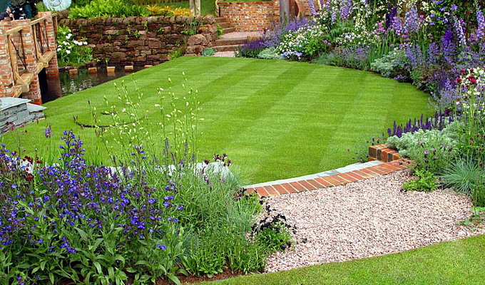 Виды газонов: стриженые и не требующие стрижки