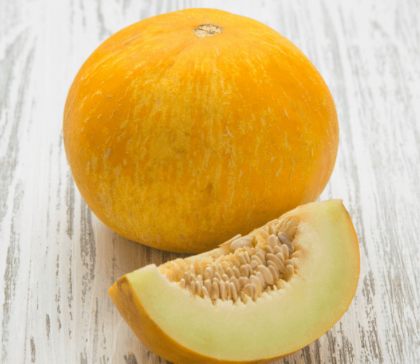 Дыня Колхозница: особенности сорта и нюансы выращивания