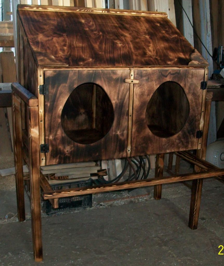 Куры несушки: лучшие породы для разведения дома