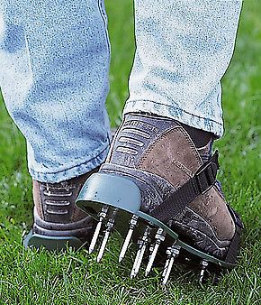 Уход за газоном весной, советы