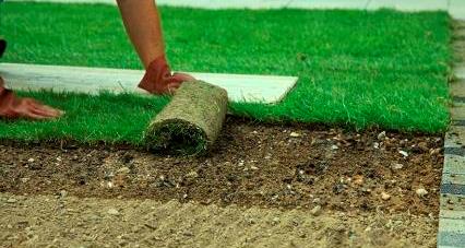 Уход за газоном весной, советы