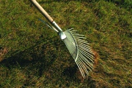 Уход за газоном весной, советы